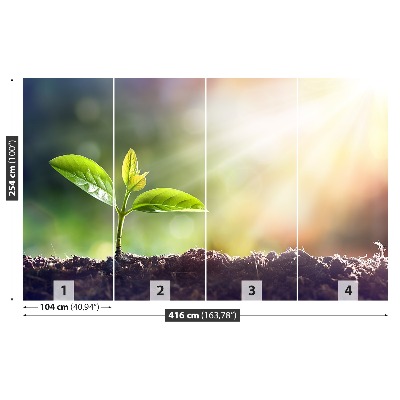 Papel de parede Broto Verde