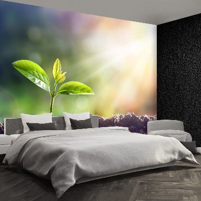 Papel de parede Broto Verde