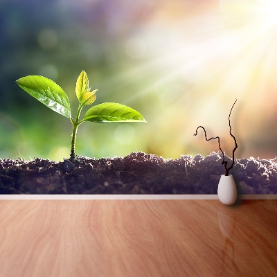 Papel de parede Broto Verde