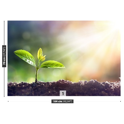 Papel de parede Broto Verde