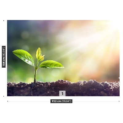 Papel de parede Broto Verde