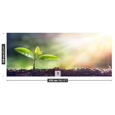 Papel de parede Broto Verde