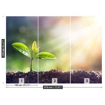 Papel de parede Broto Verde