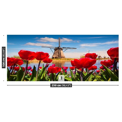 Mural de parede Moinhos de vento da Holanda