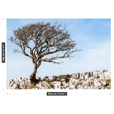 Mural de parede Árvore