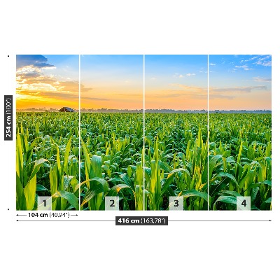 Mural de parede Campo de milho