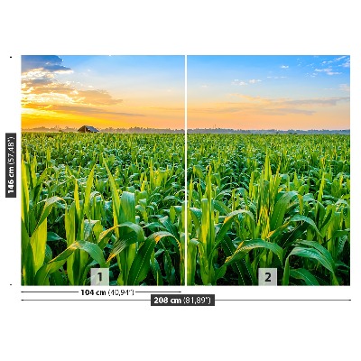Mural de parede Campo de milho
