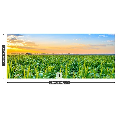 Mural de parede Campo de milho