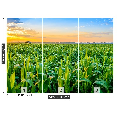 Mural de parede Campo de milho
