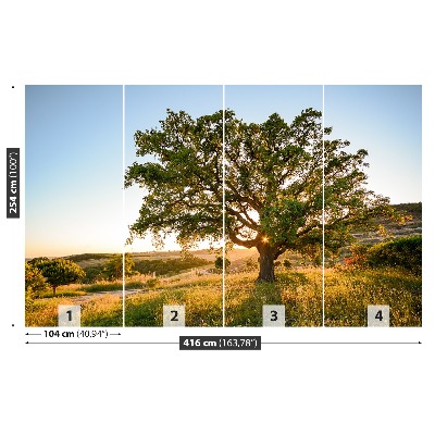 Papel de parede Carvalho