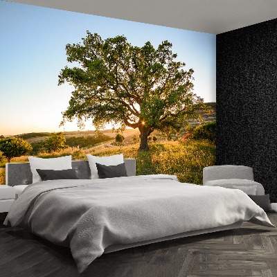 Papel de parede Carvalho