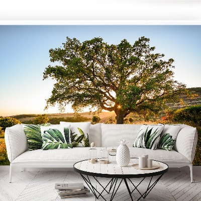 Papel de parede Carvalho