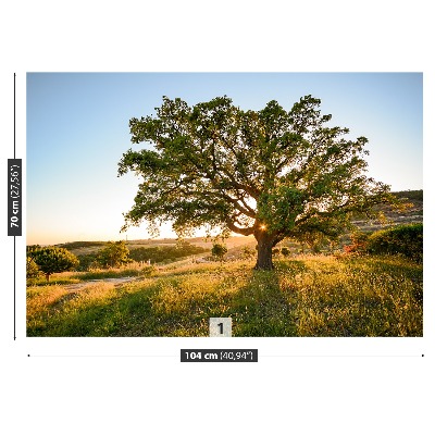 Papel de parede Carvalho