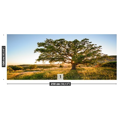 Papel de parede Carvalho