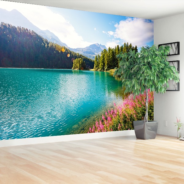 Mural de parede Alpes Suíços