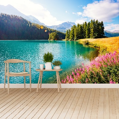 Mural de parede Alpes Suíços