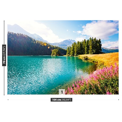 Mural de parede Alpes Suíços