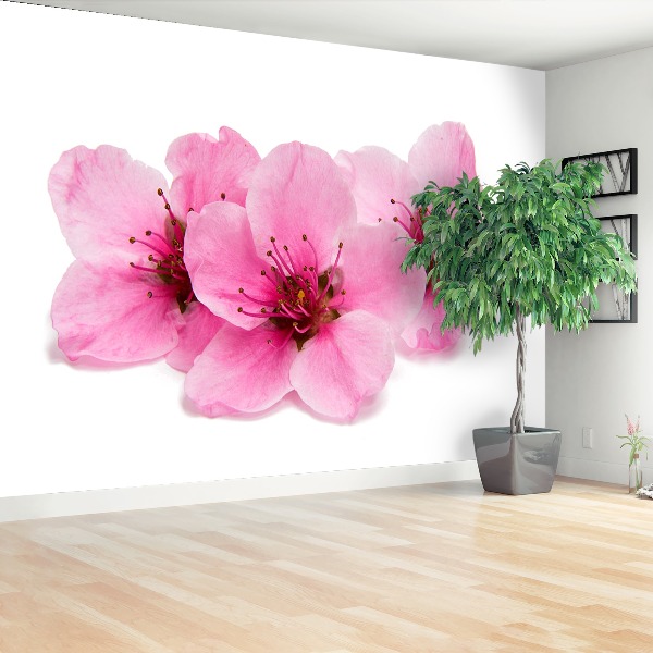 Mural de parede flores de cerejeira