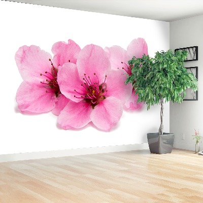 Mural de parede flores de cerejeira