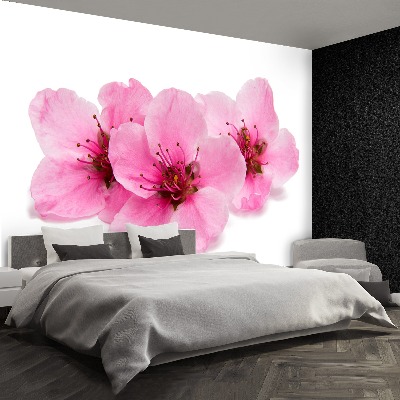 Mural de parede flores de cerejeira