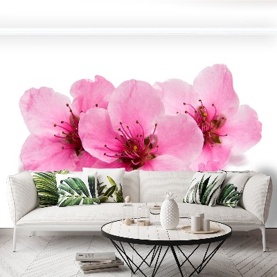 Mural de parede flores de cerejeira