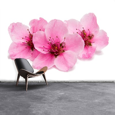 Mural de parede flores de cerejeira