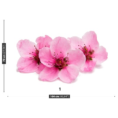 Mural de parede flores de cerejeira