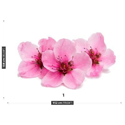 Mural de parede flores de cerejeira