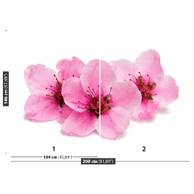 Mural de parede flores de cerejeira