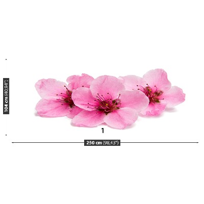 Mural de parede flores de cerejeira