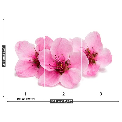 Mural de parede flores de cerejeira