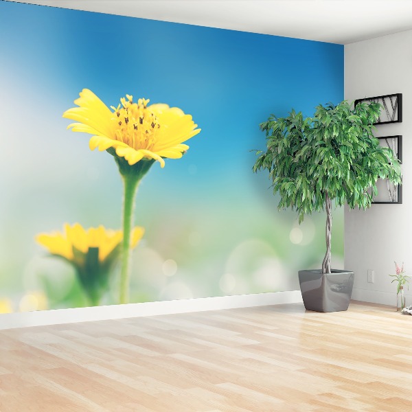 Papel de parede Dente-de-leão amarelo