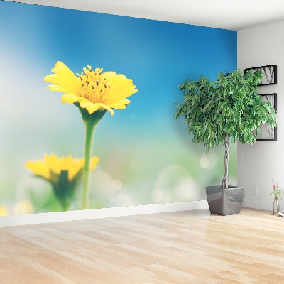 Papel de parede Dente-de-leão amarelo