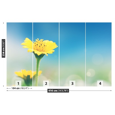 Papel de parede Dente-de-leão amarelo