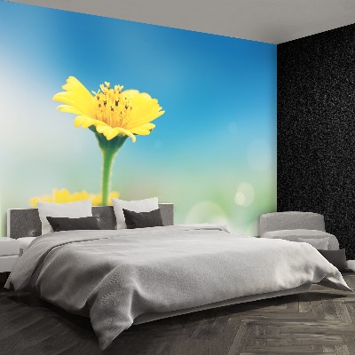 Papel de parede Dente-de-leão amarelo