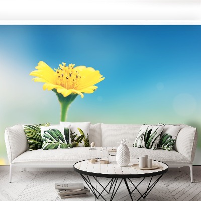 Papel de parede Dente-de-leão amarelo