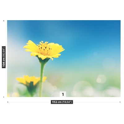 Papel de parede Dente-de-leão amarelo