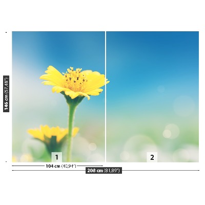 Papel de parede Dente-de-leão amarelo