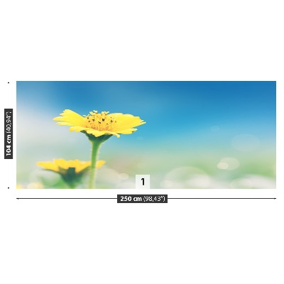 Papel de parede Dente-de-leão amarelo