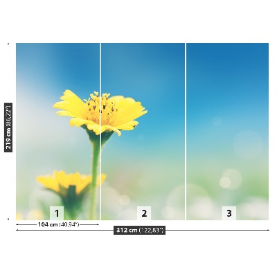 Papel de parede Dente-de-leão amarelo