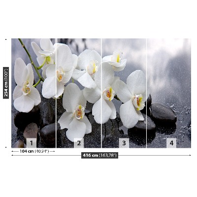 Mural de parede Pedras de orquídea