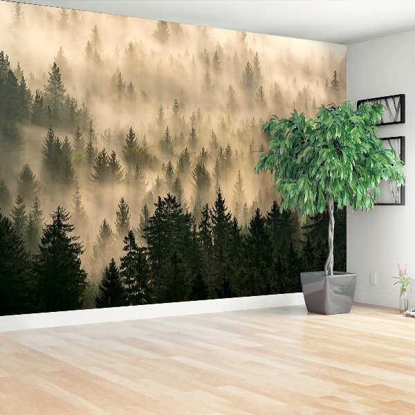 Papel de parede Floresta enevoada