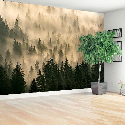 Papel de parede Floresta enevoada