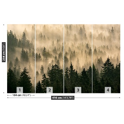 Papel de parede Floresta enevoada