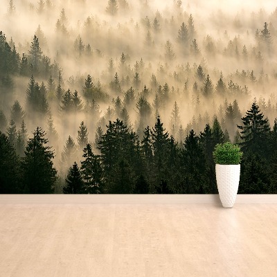 Papel de parede Floresta enevoada