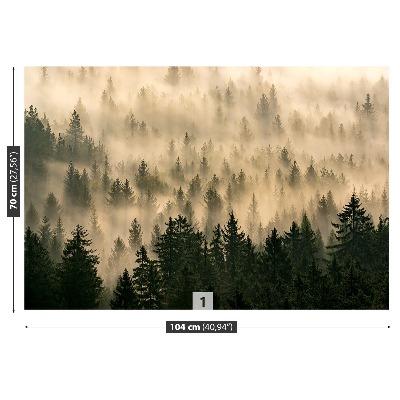 Papel de parede Floresta enevoada