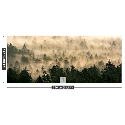 Papel de parede Floresta enevoada