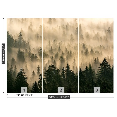 Papel de parede Floresta enevoada