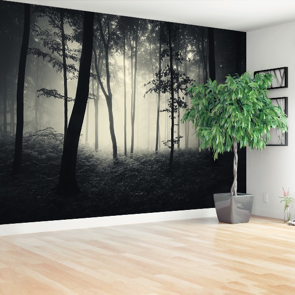 Papel de parede Floresta enevoada