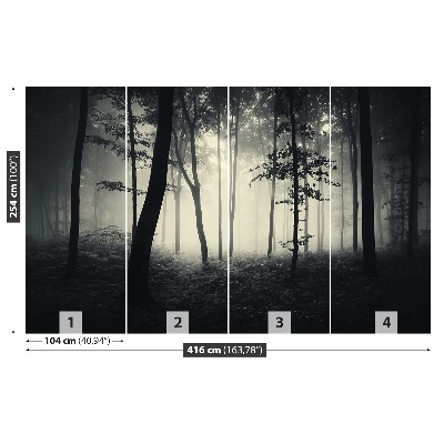 Papel de parede Floresta enevoada